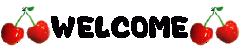 .welc15.